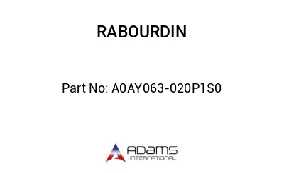 A0AY063-020P1S0
