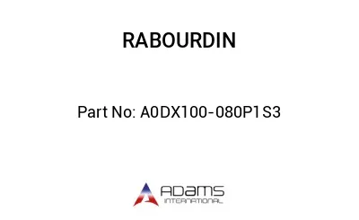 A0DX100-080P1S3