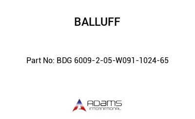 BDG 6009-2-05-W091-1024-65									