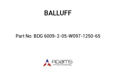 BDG 6009-2-05-W097-1250-65									