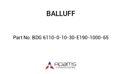 BDG 6110-0-10-30-E190-1000-65									