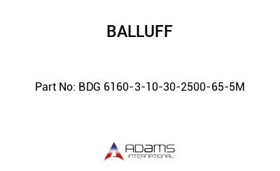 BDG 6160-3-10-30-2500-65-5M									