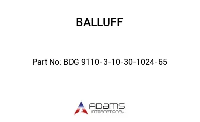 BDG 9110-3-10-30-1024-65									