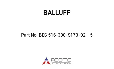 BES 516-300-S173-02	5								
