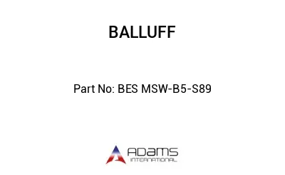 BES MSW-B5-S89									