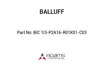 BIC 1I3-P2A16-R01K01-C03									