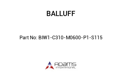 BIW1-C310-M0600-P1-S115									