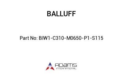 BIW1-C310-M0650-P1-S115									