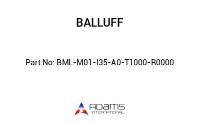 BML-M01-I35-A0-T1000-R0000									
