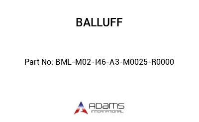 BML-M02-I46-A3-M0025-R0000									