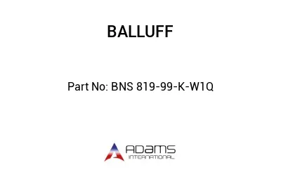 BNS 819-99-K-W1Q									