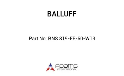 BNS 819-FE-60-W13									