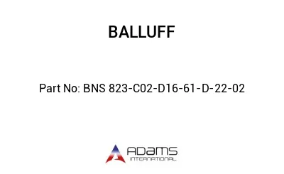 BNS 823-C02-D16-61-D-22-02									