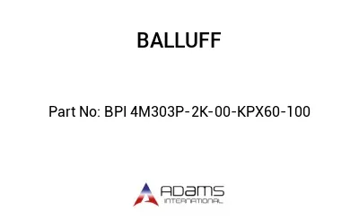 BPI 4M303P-2K-00-KPX60-100									