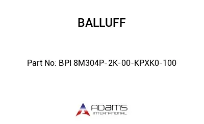 BPI 8M304P-2K-00-KPXK0-100									