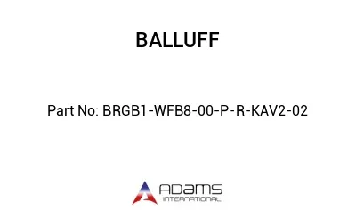 BRGB1-WFB8-00-P-R-KAV2-02									