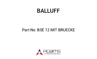 BSE 12 MIT BRUECKE									