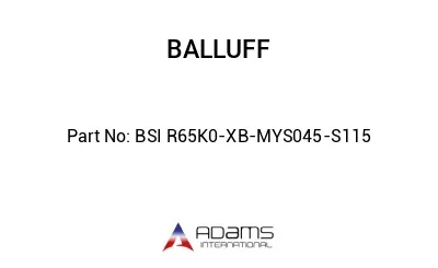 BSI R65K0-XB-MYS045-S115									