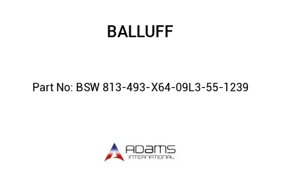 BSW 813-493-X64-09L3-55-1239									