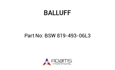 BSW 819-493-06L3