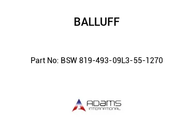 BSW 819-493-09L3-55-1270									