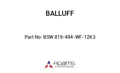BSW 819-494-WF-12K3									